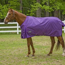 Load image into Gallery viewer, TuffRider 1680 D Super Comfy Winter Ripstop Turnout Blanket Medium Weight 200 GSM Standard Neck
