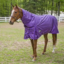 Load image into Gallery viewer, TuffRider 1680 D Super Comfy Winter Ripstop Turnout Blanket Heavy Weight 350 GSM Detachable Neck
