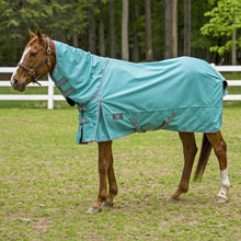 Load image into Gallery viewer, TuffRider 1200 D Comfy Detachable Neck Ripstop Turnout Sheet
