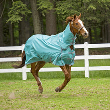Load image into Gallery viewer, TuffRider 1200 D Comfy Detachable Neck Ripstop Turnout Sheet
