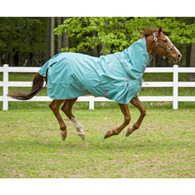 Load image into Gallery viewer, TuffRider 1200 D Comfy Detachable Neck Ripstop Turnout Sheet

