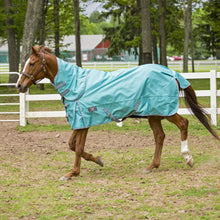 Load image into Gallery viewer, TuffRider 1200 D Comfy Detachable Neck Ripstop Turnout Sheet
