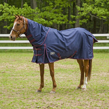Load image into Gallery viewer, TuffRider 1200 D Comfy Detachable Neck Ripstop Turnout Sheet
