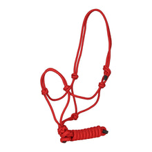 Load image into Gallery viewer, TuffRider Rugged Rope Halter with matching lead
