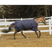 Load image into Gallery viewer, TuffRider 1200 D Comfy Winter Ripstop Turnout Blanket Medium Weight 200 GSM Standard Neck
