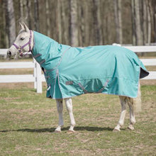 Load image into Gallery viewer, TuffRider 1200 D Comfy Winter Medium Weight Ripstop Turnout Blanket w/ Detachable Neck- 200 GSM
