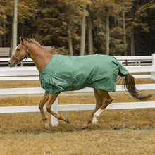 Load image into Gallery viewer, TuffRider 600 D  Comfy Winter Ripstop Turnout Blanket Medium Weight 200 GSM Standard Neck
