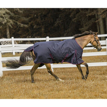Load image into Gallery viewer, TuffRider 600 D  Comfy Winter Ripstop Turnout Blanket Medium Weight 200 GSM Standard Neck
