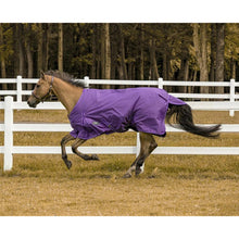 Load image into Gallery viewer, TuffRider 600 D  Comfy Winter Ripstop Turnout Blanket Medium Weight 200 GSM Standard Neck
