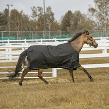 Load image into Gallery viewer, TuffRider 600 D  Comfy Winter Ripstop Turnout Blanket Medium Weight 200 GSM Standard Neck
