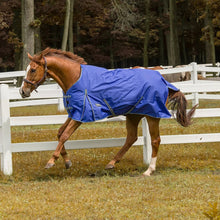 Load image into Gallery viewer, TuffRider 600 D  Comfy Winter Ripstop Turnout Blanket Medium Weight 200 GSM Standard Neck
