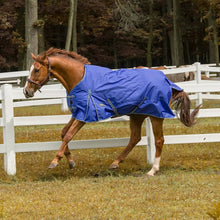 Load image into Gallery viewer, TuffRider 1200 D Comfy Winter Ripstop Turnout Blanket Medium Weight 200 GSM Standard Neck
