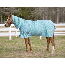 Load image into Gallery viewer, TuffRider 600 D Comfy Winter Medium Weight Ripstop Turnout Blanket w/ Combo Neck- 200 GSM
