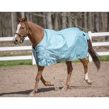 Load image into Gallery viewer, TuffRider 600 D Comfy Winter Standard Neck Ripstop Turnout Sheet
