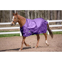Load image into Gallery viewer, TuffRider 600 D Comfy Winter Standard Neck Ripstop Turnout Sheet
