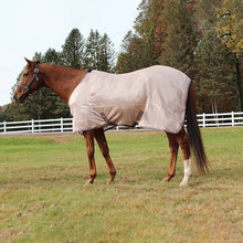 Load image into Gallery viewer, TuffRider Comfy Mesh Standard Neck Fly Sheet
