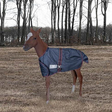 Load image into Gallery viewer, TuffRider 1200D Ripstop Foal Adjustable Turnout Blanket 220GSM Fill
