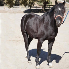 Load image into Gallery viewer, Boyd Martin Leather Tendon Boot with Removable Impact Liner
