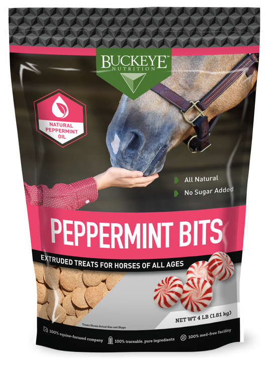 AE Buckeye Peppermint Treats