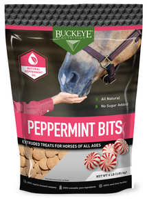 AE Buckeye Peppermint Treats