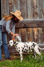 Load image into Gallery viewer, Barn Dog Dry Shampoo
