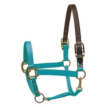 Load image into Gallery viewer, Safety Halter HORSE
