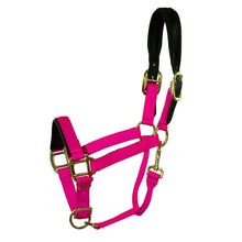Load image into Gallery viewer, Premium Padded Nylon Breakaway Halter
