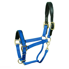 Load image into Gallery viewer, Premium Padded Nylon Breakaway Halter
