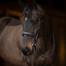 Load image into Gallery viewer, Henri de Rivel Pro Mono Crown Bridle with Padded Wide Noseband  with Laced Reins
