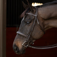 Load image into Gallery viewer, Henri de Rivel Pro Mono Crown Bridle with Padded Wide Noseband  with Laced Reins
