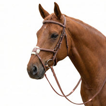 Load image into Gallery viewer, Laureate by Henri de Rivel Figure 8 Bridle w/ Rubber Reins
