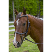 Load image into Gallery viewer, Henri de Rivel Pro Anatomical Bridle
