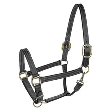 Load image into Gallery viewer, Henri de Rivel Triple Stitched Halter
