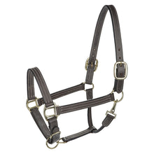 Load image into Gallery viewer, Henri de Rivel Triple Stitched Halter
