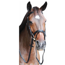 Load image into Gallery viewer, Henri de Rivel Pro Piaffe Mono Crown Bridle with Flash Noseband with Patent Leather
