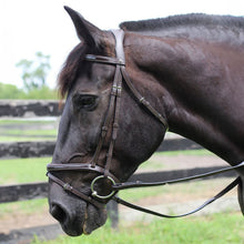 Load image into Gallery viewer, Henri de Rivel Pro Piaffe Mono Crown Bridle with Flash Noseband with Patent Leather
