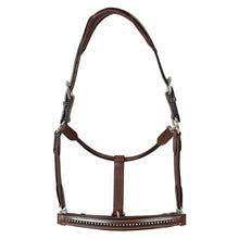 Load image into Gallery viewer, Henri de Rivel Padded Crystal Halter
