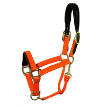 Load image into Gallery viewer, Premium Padded Nylon Breakaway Halter
