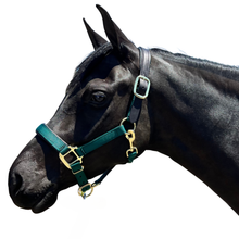 Load image into Gallery viewer, Premium Padded Nylon Breakaway Halter
