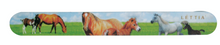 Load image into Gallery viewer, Lettia Nail File

