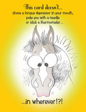 Load image into Gallery viewer, Horse Funny Get Well Card: This Card Doesn&#39;t... Horse Card
