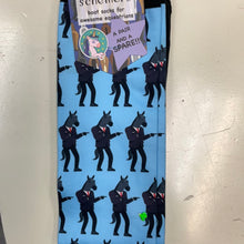Load image into Gallery viewer, Dreamers &amp; Schemers Socks A Pair and A Spare
