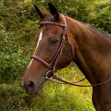Load image into Gallery viewer, Henri de Rivel Advantage Fancy Raised Padded Bridle With Laced Reins
