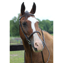 Load image into Gallery viewer, Henri de Rivel Pro Fancy Raised Bridle With Laced Reins
