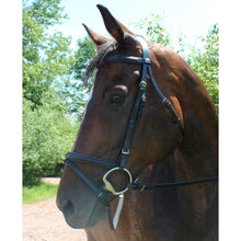 Load image into Gallery viewer, Henri de Rivel Pro Padded Dressage Bridle with Flash and Web Reins
