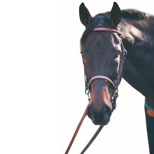 Load image into Gallery viewer, Henri de Rivel Advantage Fancy Raised Snaffle Bridle With Laced Reins
