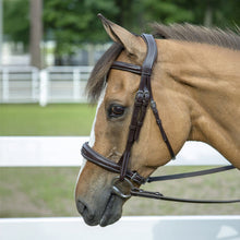 Load image into Gallery viewer, Henri de Rivel Pro Mono-Crown Padded Wide Noseband Bridle

