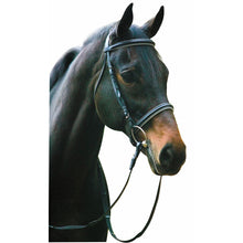 Load image into Gallery viewer, Henri de Rivel Pro Padded Dressage Bridle with Web Reins
