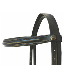 Load image into Gallery viewer, Henri de Rivel Pro Padded Dressage Bridle with Web Reins
