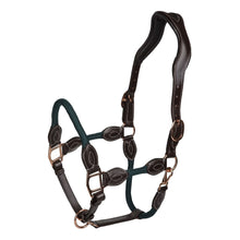 Load image into Gallery viewer, Henri de Rivel Ergonomic Leather Rope Halter
